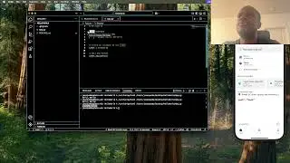 Hello World Program in Python
