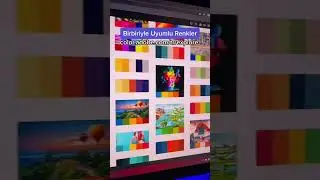 Birbiriyle Uyumlu Renkleri Bul