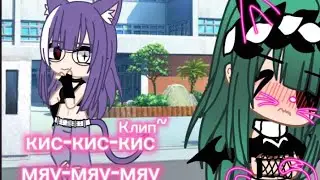 🐾Клип~||•кис-кис-кис 🌹 мяу-мяу-мяу•||~ {°°×/Gacha nox\×°°}