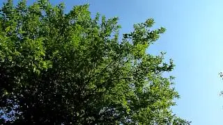 Sieste à la campagne