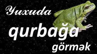 Yuxuda qurbağa görmək ☾✵ Qısa Yuxuyozma