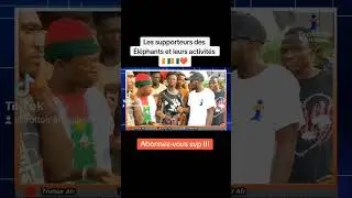 Les supporteurs des Éléphants #can2024 #match #direct #can #trottoir afrique