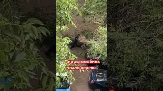 #алматы