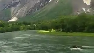 Təbiət mənzərəsi