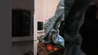 Вяжу безшовное пальто.