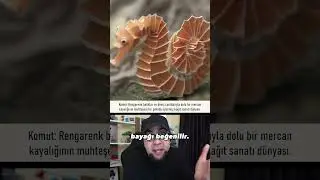 Her Detayı İnce İnce Çalışan Yapay Zeka