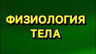 Физиология тела - Экспресс урок 27 05 23