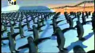 Schiffie & Co    A DanÃ§a dos Pinguins