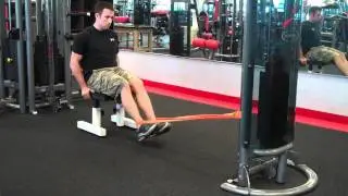 Leg Curls (Band Resisted)