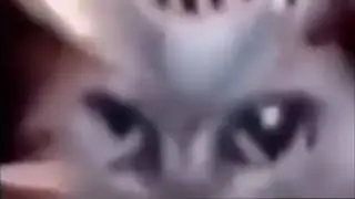 Телевизор туту улучшенный мем 2020!