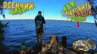 Рыбалка на пружины осенью на Днепре. Как наловить садок рыбы.