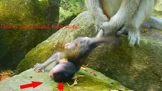 Deep hurt on head ! because of try to follow mom and drag by Dolly  make Daniela hit head on stone