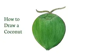 How to draw a coconut step by step॥ Green coconut drawing easily 