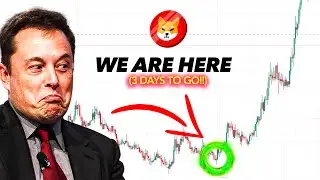 The REAL Reason Why Shiba Inu Is Becoming More than a Meme Coin
