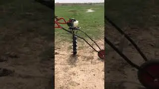 Hole Digging 1