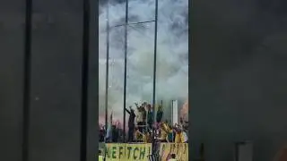 NEFTCHI-OGMK