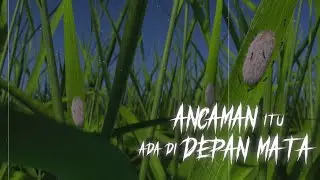 Segera Hadir!!