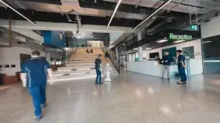 Soaring through Findon Technical College