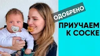 HOW TO QUICKLY GET YOUR BABY USING A PACIFIER? A method that's 100% effective. Nika Bolzan