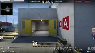 СТРИМ по CS:GO