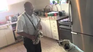 Dog singing Autumn Leaves