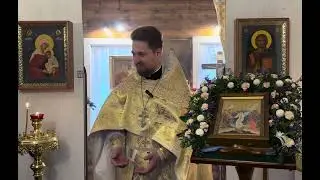 Исцеление гадаринского бесноватого. Проповедь отца Андрея Дорофейчева.