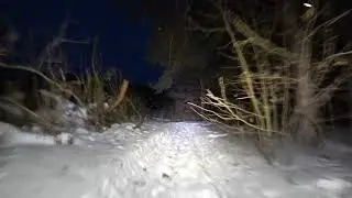 ночь лес 09.02.2019 . в 4К