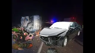 Тойота камри сбила рокси