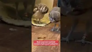 Технічний нагляд на будівництві