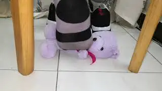 More sweaty socks trample teddy after school