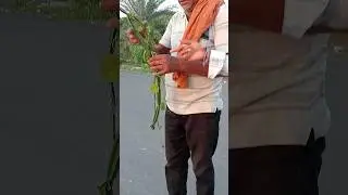 আগে থেকে ভিডিওটার রেডি করিও এত পরে দিতে হলো#shortvideo #minivlog