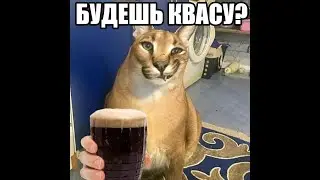 Два инцела несут патриархат в массы 17 минут!