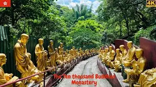 [4K] The Ten Thousand Buddhas Monastery in Sha Tin Full Tour  | Hong Kong Temples  | 萬佛寺