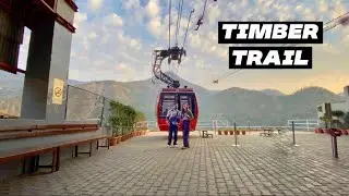 Timber Trail Parwanoo | Timber Trail Resort | Resort Above Clouds | Places to Visit near Chandigarh