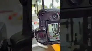 Бэки с моих съёмок для ресторанов