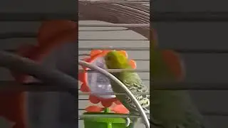 17 сентября 2022 г.