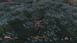 Sekiro: Shadows Die Twice Isshin the sword Saint!