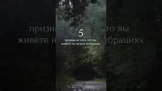 Признаки в комментариях 