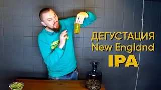 Дегустируем New England IPA | Дегустация Нью Ингланд IPA | Стратегия 21