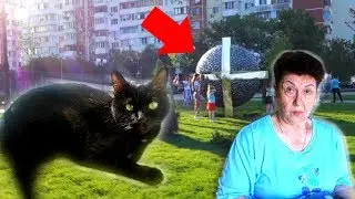 НЛО!? Супруга НАЛЫСО! Кошки БОЛЬШЕ НЕТ.. Новый парк в КРАСНОДАРЕ   Дыдынские на связи