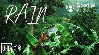 Nature Sounds: Rain Sounds One Hour for Sleeping and relaxation, Sleep Aid for Everyone