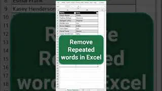 Remove Repeated words in Excel sheet