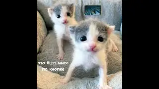 прогреука под штормоуку