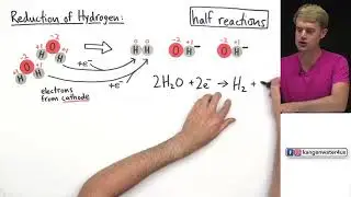 Electrolysis of Water