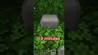 Mini Treehouse at different times(worlds smallest violin)#shorts # #minecraft #worldssmallestviolin
