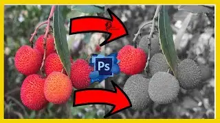 Adobe Photoshop Tutorial - Color Splash Effect (For Beginners) || DRKCREATIONS