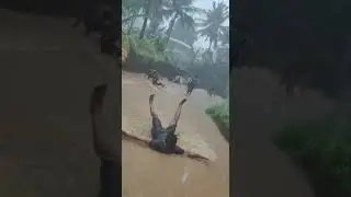 iyoo poocheiii 😂😂😂😂😂😂😂😂😂😂😂😂😂 #fun #funny #funnyvideos #tiktok #trending #shorts #shortsvideo #tamil