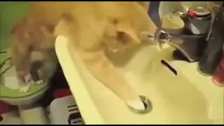 Очень смешно!