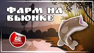 ТРОФНЙНАЯ ПЕРЛОВИЦА 🐟 Russian Fishing 4 ● Прохождение #36