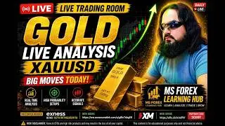 LIVE TRADING ROOM 0531  gold room 